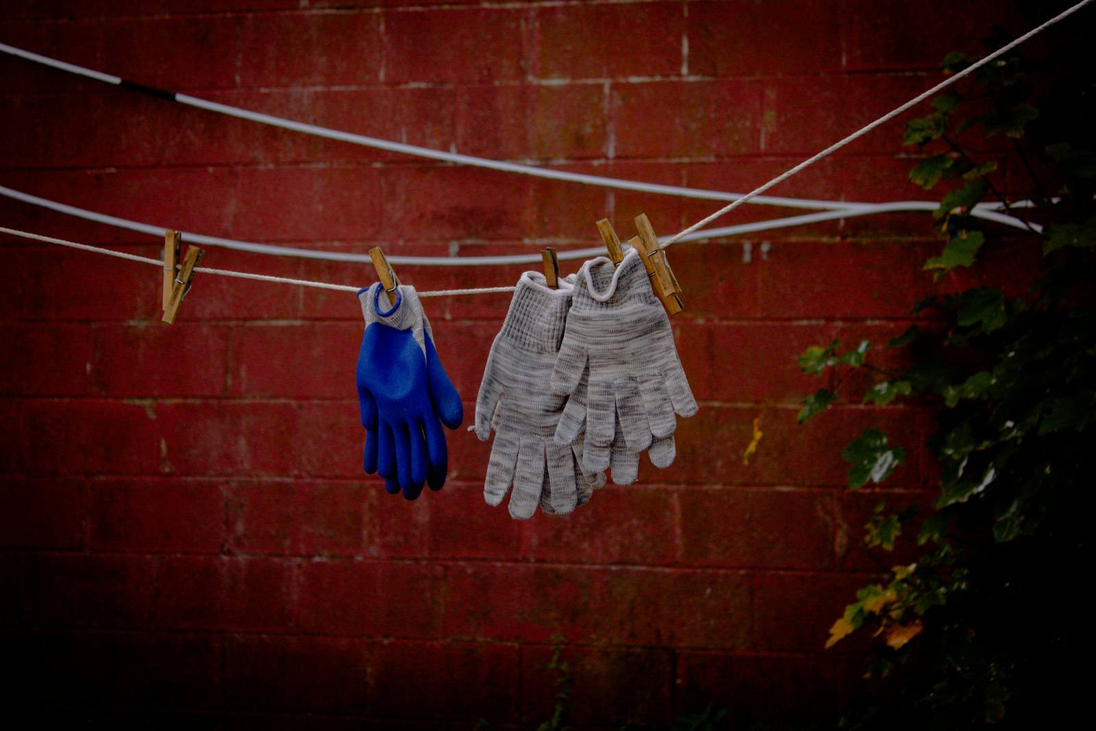 Coated and knitted work gloves drying on a washing line